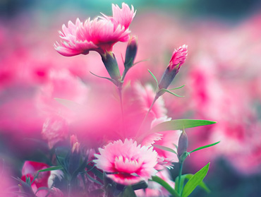 担保交易无忧的ddos在线攻击工具